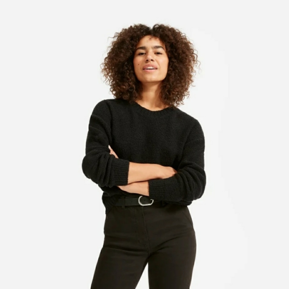 Everlane Teddy Crew Neck Sweater XS